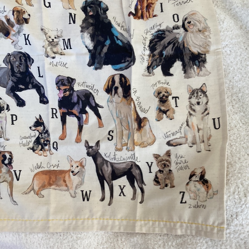 Towel✨from💕Anthropologie💕 Dish towel - Picture 9 of 14